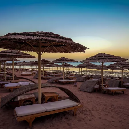 Cleopatra Luxury Resort Sharm El Sheikh (Adults Only)-3